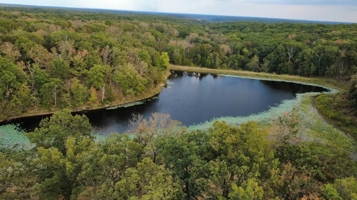 Tbd County Road 427 #Xxx, Cross Timbers, MO 65634