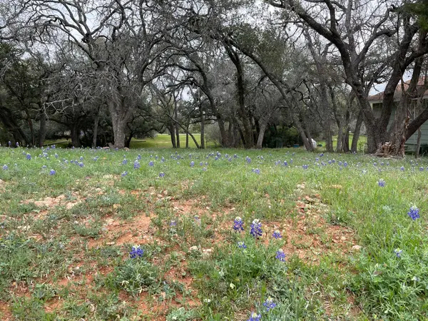 Address not disclosed, Spicewood, TX 78669