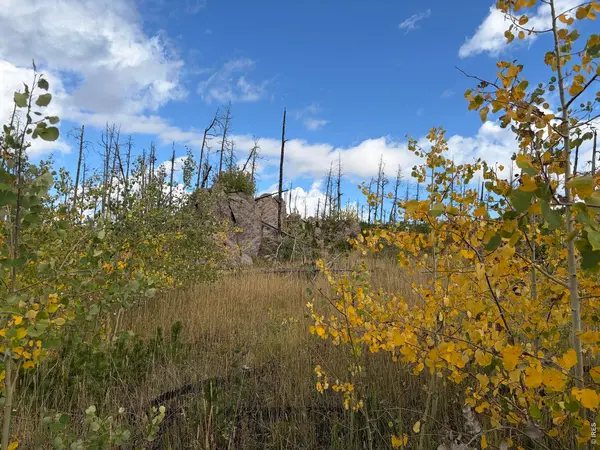 2025 Granite, Bellvue, CO 80512