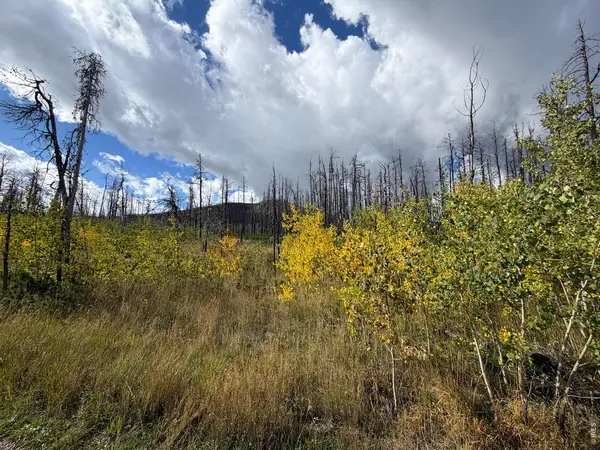 2025 Granite, Bellvue, CO 80512