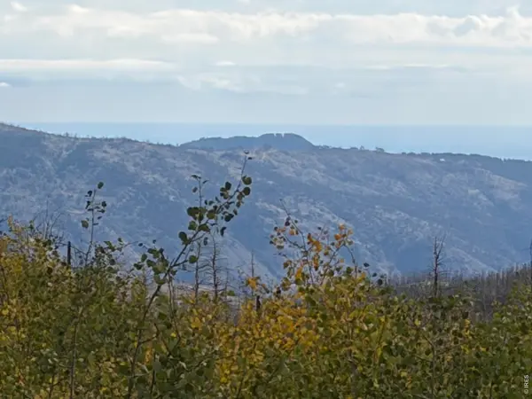 2025 Granite, Bellvue, CO 80512
