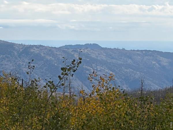 2025 Granite, Bellvue, CO 80512