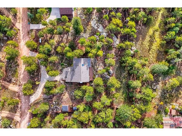 30 Bridger, Ward, CO 80481