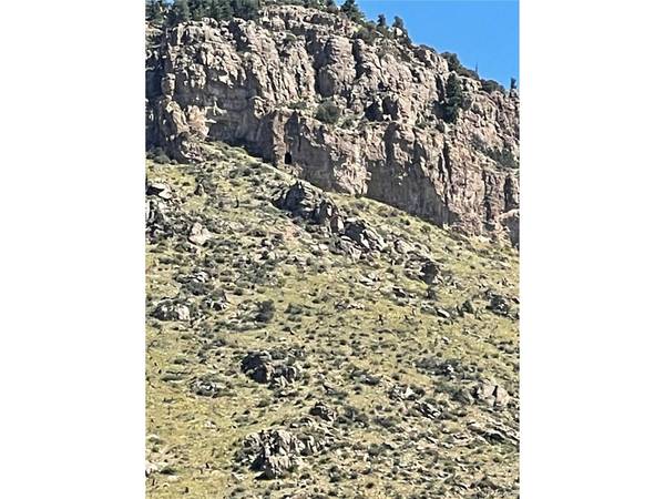 29355 Cr-305, Buena Vista, CO 81211