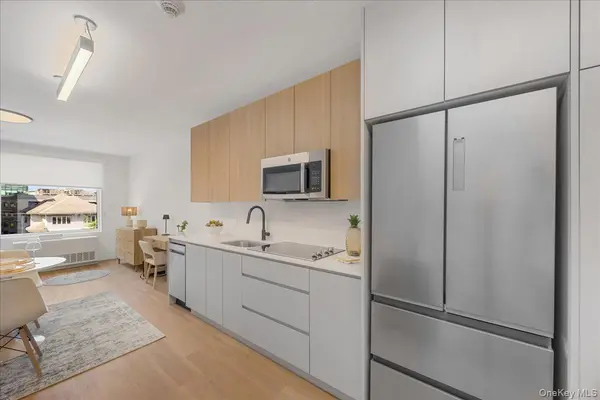 8 Chester AVE #111, White Plains, NY 10601