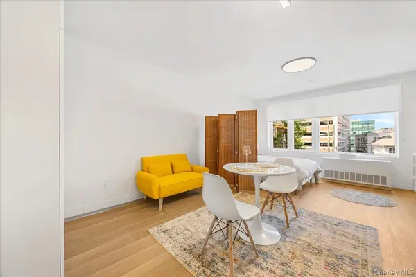 8 Chester AVE #111, White Plains, NY 10601