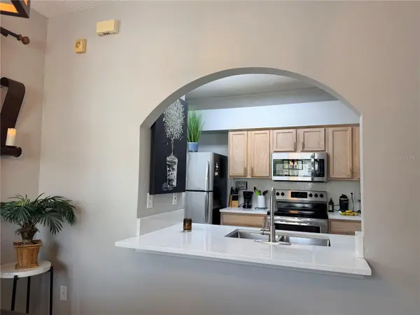 18120 PARADISE POINT DR, Tampa, FL 33647