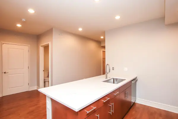 850 N Lake Shore DR #1310, Chicago, IL 60611