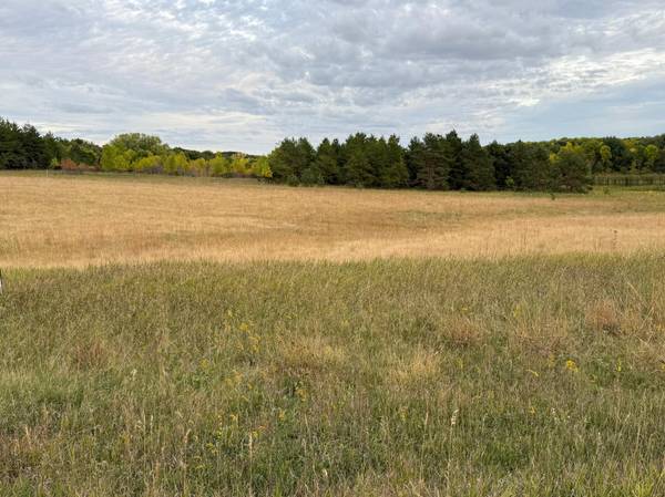 Lot 20 Creek View Drive, Pelican Rapids, MN 56572