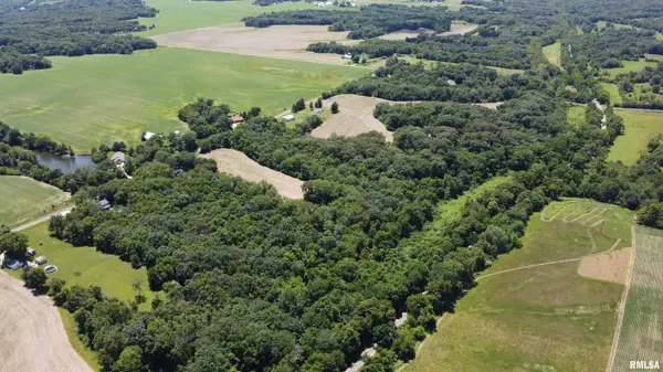 16017 W DEVILS WASHBOARD RD, Glasford, IL 61533