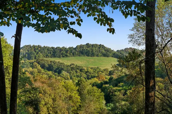 573 Happy Valley Rd, Bell Buckle, TN 37020