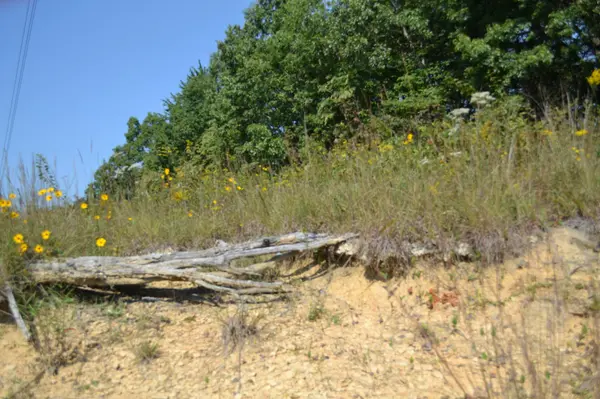 2156 Street Place Loop, Monterey, TN 38574
