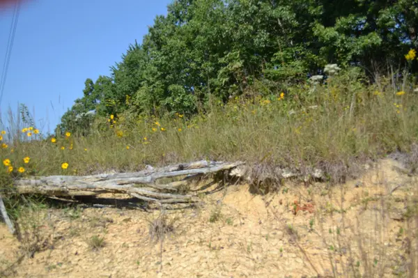 2156 Street Place Loop, Monterey, TN 38574