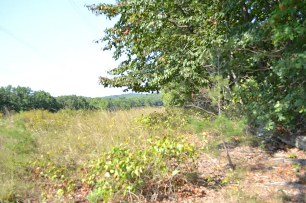 2156 Street Place Loop, Monterey, TN 38574