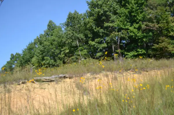 2156 Street Place Loop, Monterey, TN 38574