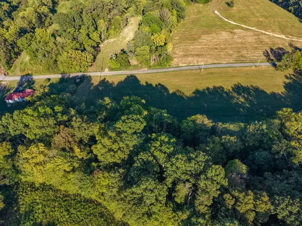 1 Shelter Branch, Charlotte, TN 37036
