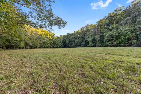 3 Shelter Branch, Charlotte, TN 37036
