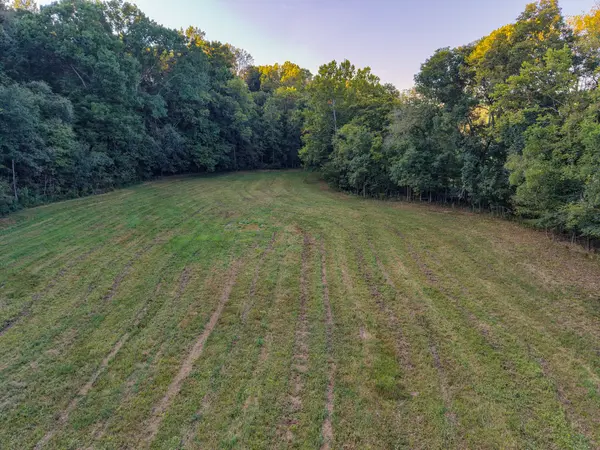 3 Shelter Branch, Charlotte, TN 37036
