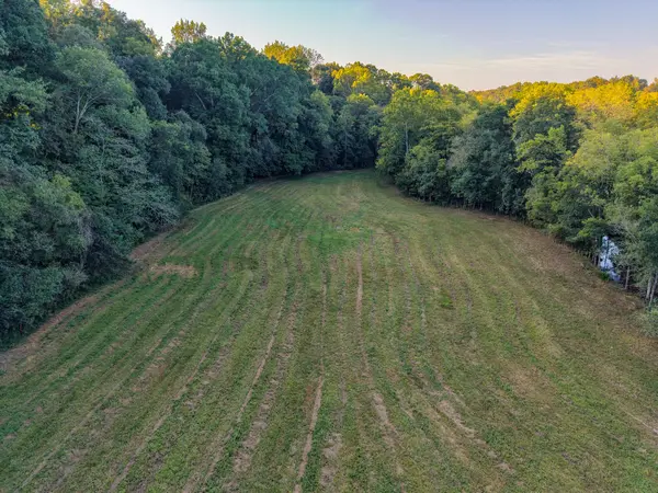 3 Shelter Branch, Charlotte, TN 37036