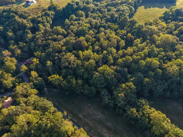 4 Shelter Branch, Charlotte, TN 37036