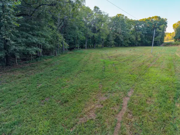 4 Shelter Branch, Charlotte, TN 37036