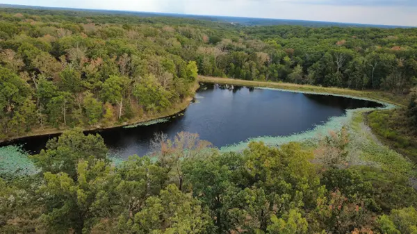 Tbd County Road 427 #Xxx, Cross Timbers, MO 65634