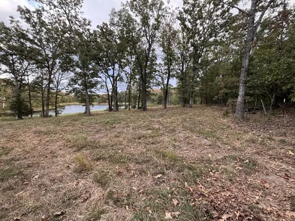 Tbd County Road 427 #Xxx, Cross Timbers, MO 65634