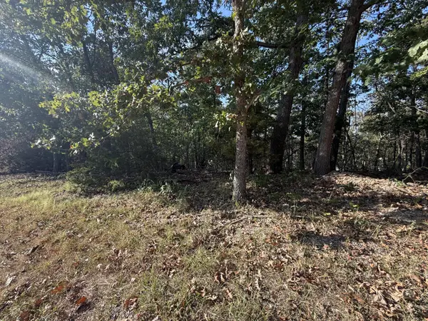 7 Columbine RD, Lake Ozark, MO 65049