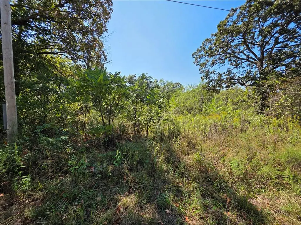 000 E Abbott RD, Schell City, MO 64783