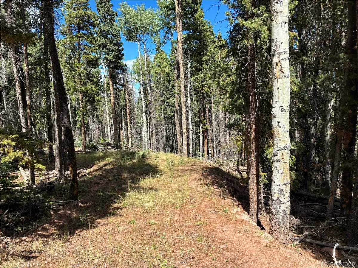 2380 Benton, Fort Garland, CO 81133