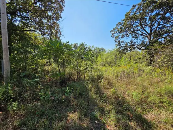 000 E Abbott RD, Schell City, MO 64783