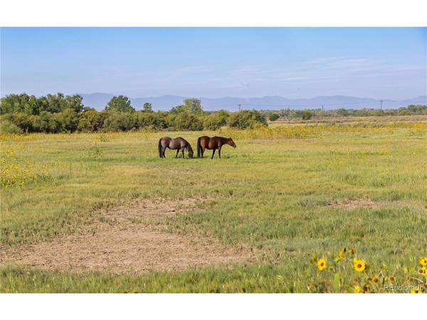 706 Avondale, Avondale, CO 81022