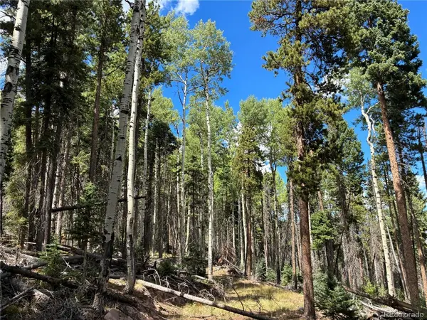 2380 Benton, Fort Garland, CO 81133