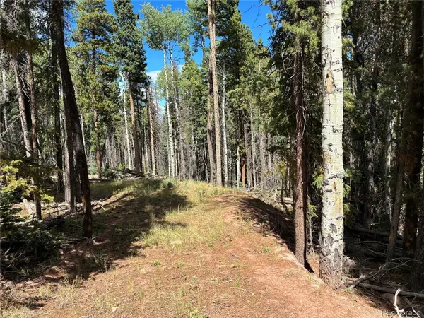 2380 Benton, Fort Garland, CO 81133