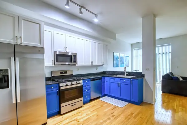 4050 N Lincoln AVE #202, Chicago, IL 60618