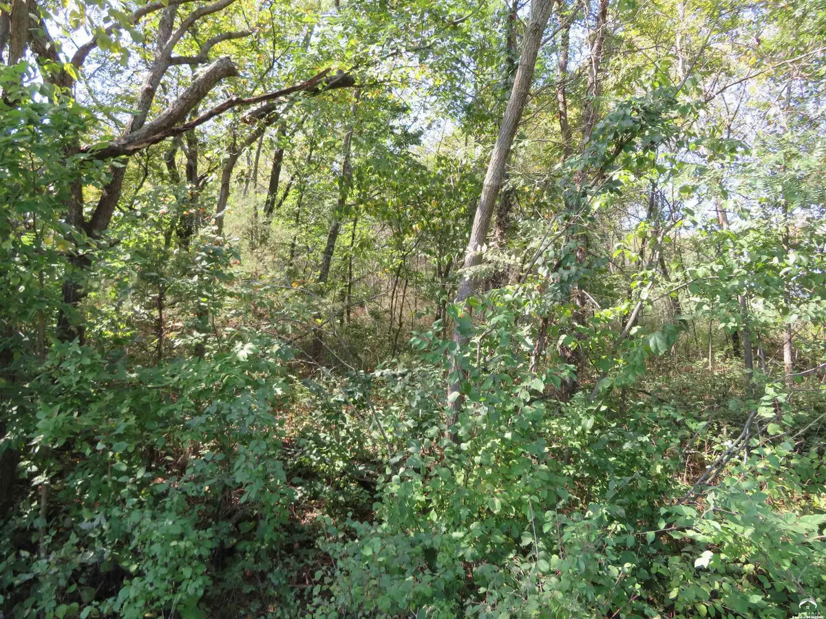0000 Crescent Rim DR, Ozawkie, KS 66070