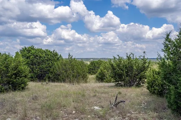 584 Saddle Ridge DR, Bertram, TX 78605