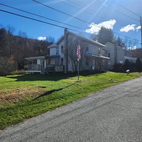 159 Main ST, Livingston Manor, NY 12758