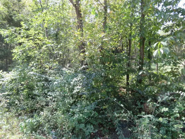 0000 Crescent Rim DR, Ozawkie, KS 66070