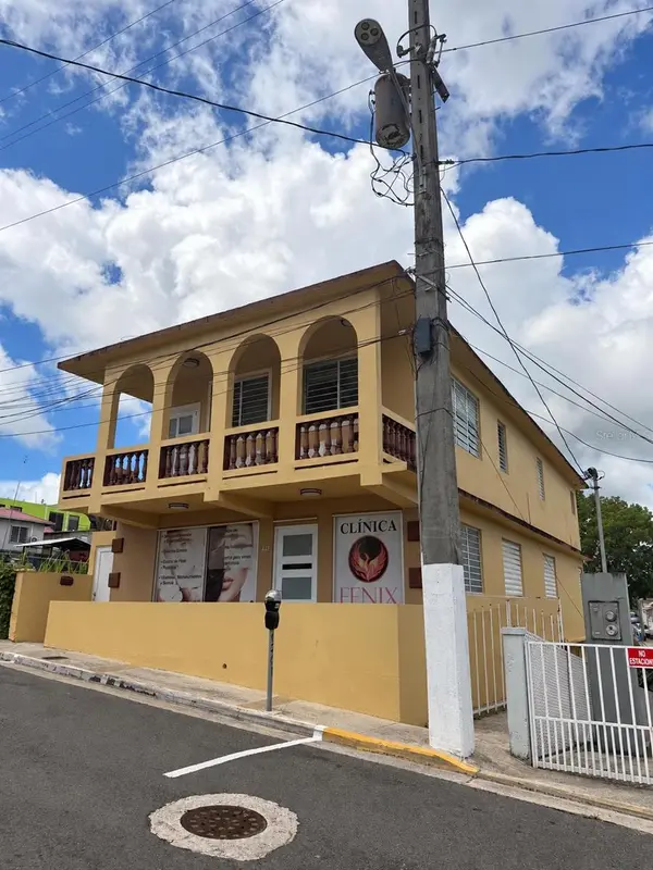 60 CALLE DEGETAU, Aibonito, PR 00705