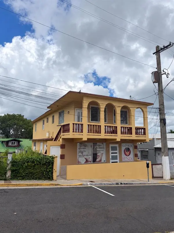 60 CALLE DEGETAU, Aibonito, PR 00705