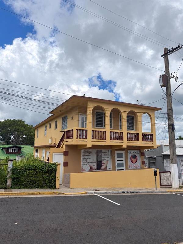 60 CALLE DEGETAU, Aibonito, PR 00705