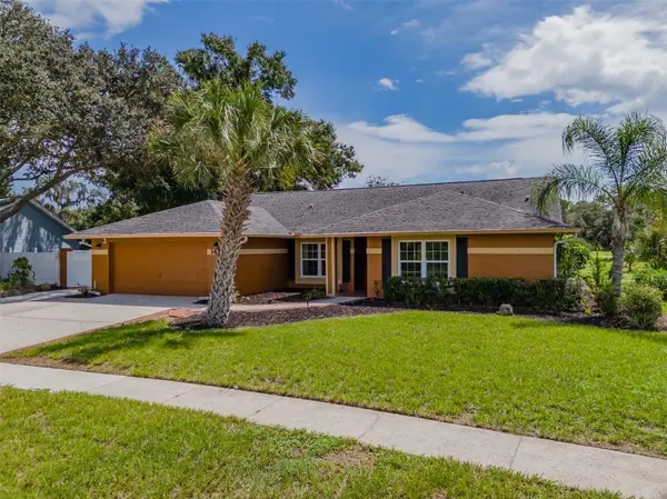 1409 HOLLEMAN, Valrico, FL 33596