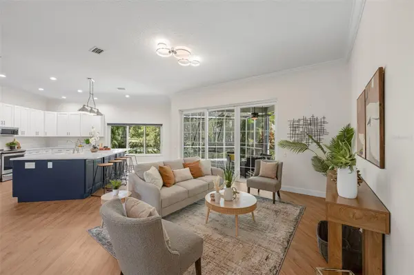 3559 SYLVAN EDGE DR, Palm Harbor, FL 34685