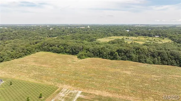 Tract 3 Garnet RD, Carlinville, IL 62626