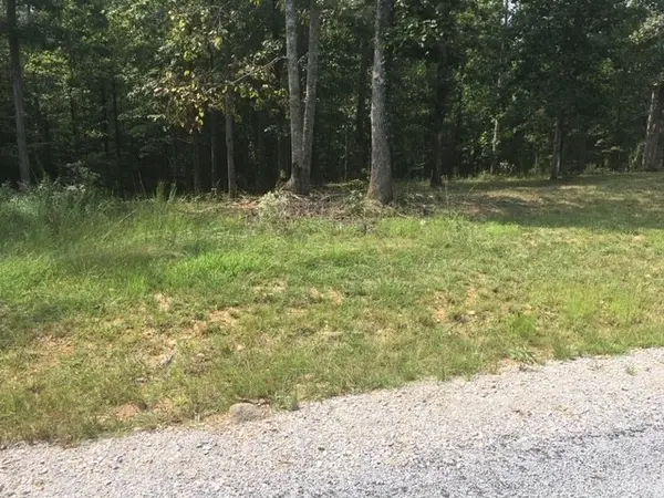 81 The Woodlands of Nashville, Mc Ewen, TN 37101