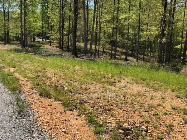 81 The Woodlands of Nashville, Mc Ewen, TN 37101