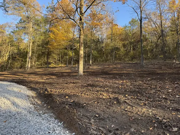 2878 Spring Place Rd, Belfast, TN 37019