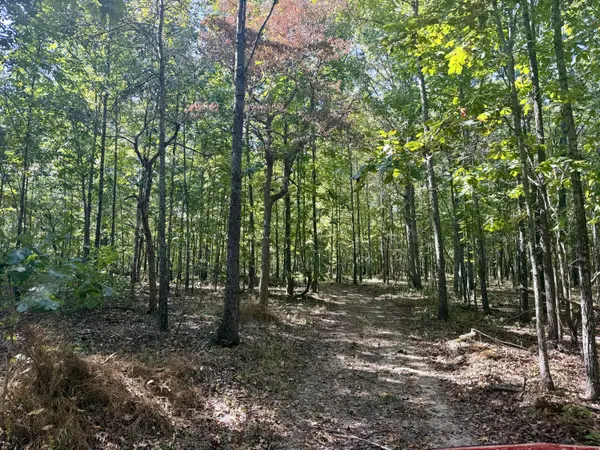 196 Forest Rd 9673, Fremont, MO 63941