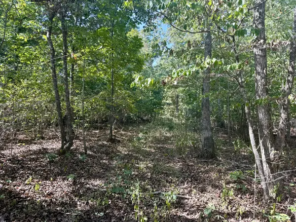 196 Forest Rd 9673, Fremont, MO 63941